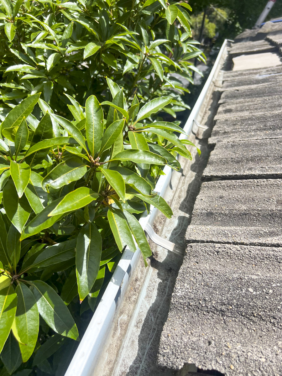 Vacuum Gutter Cleaning Melbourne